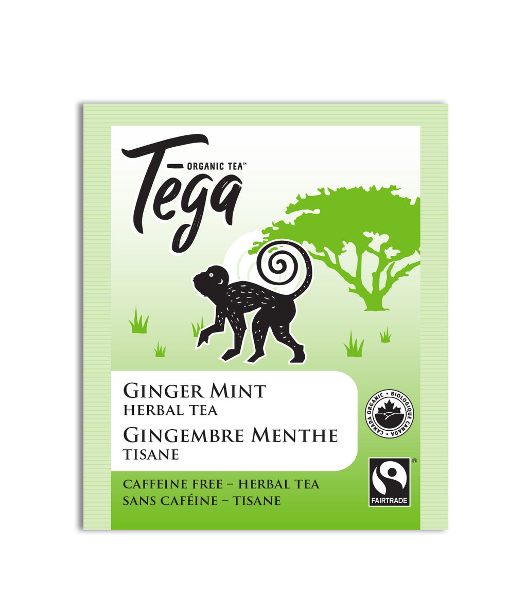Tega Organic Tea Ginger Mint herbal tea package on a white background