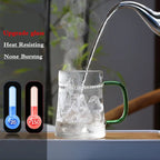 Heat-Resistant Glass Teacup with Filter
