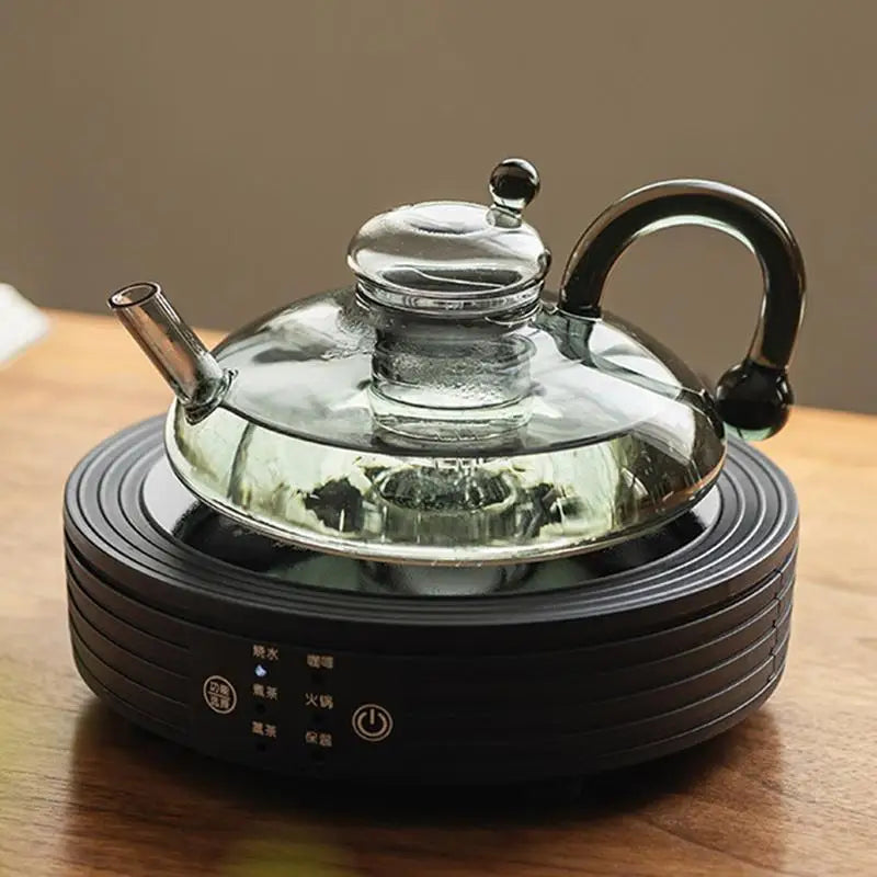Glass Electric Teapot with Infuser