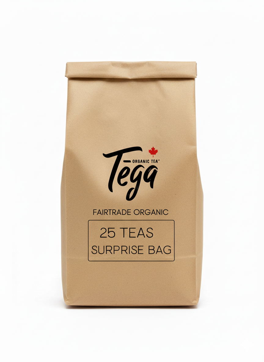 Kraft paper tea bag with Tega Tea branding on a white background