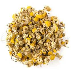 Bouquet of dried chamomile flowers on a white background