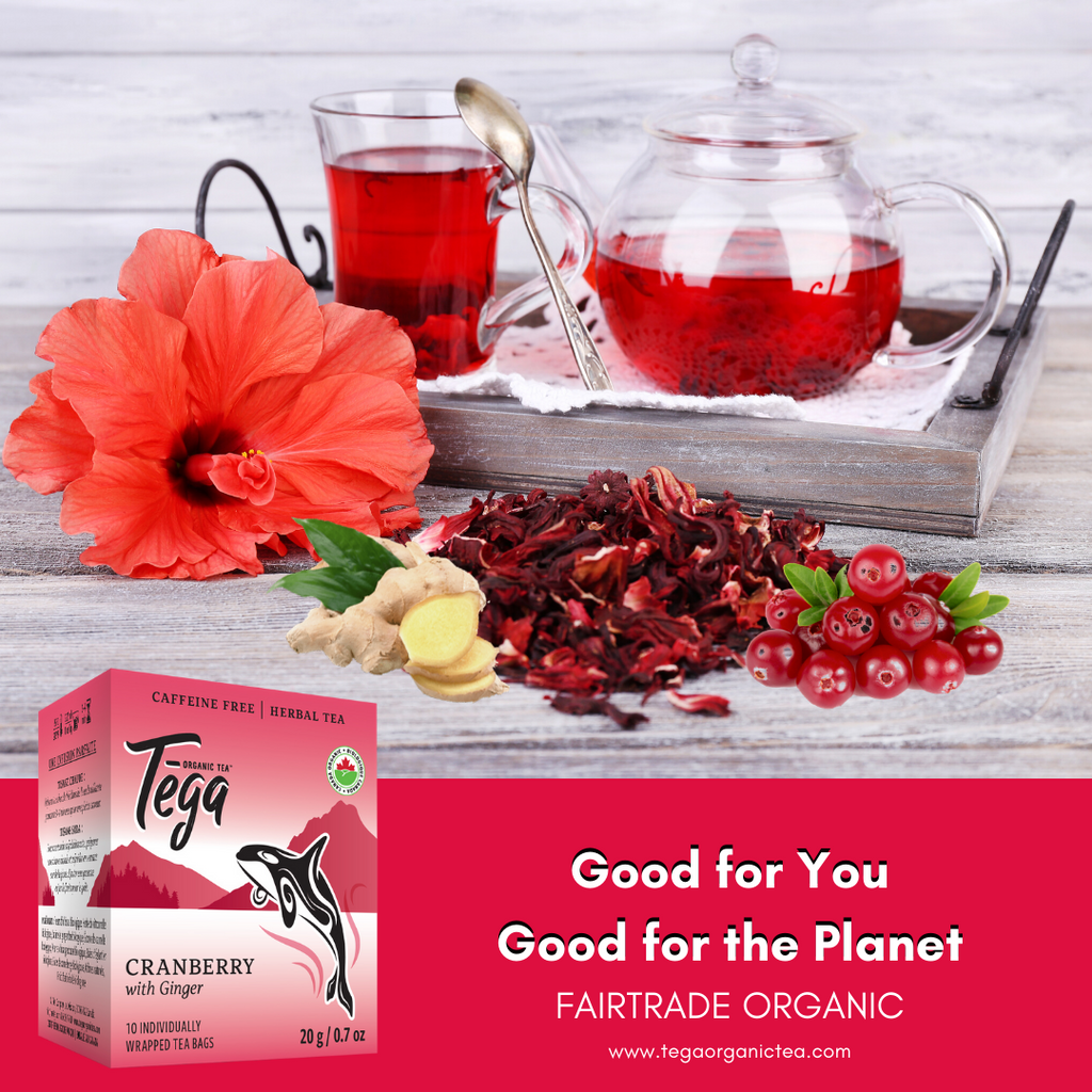 Tega Cranberry with Ginger tea packaging on a wooden surface with tea and ingredients.